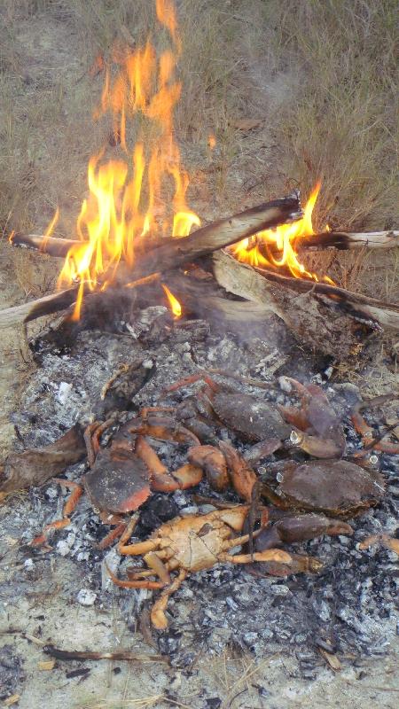 Mud crabs on the fire, Australia