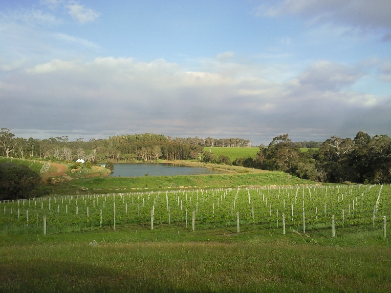 The Vineyard, Australia