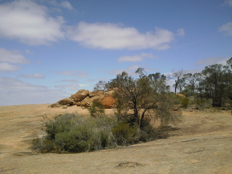 Vegetation on Wave Rock, Wave Rock Australia