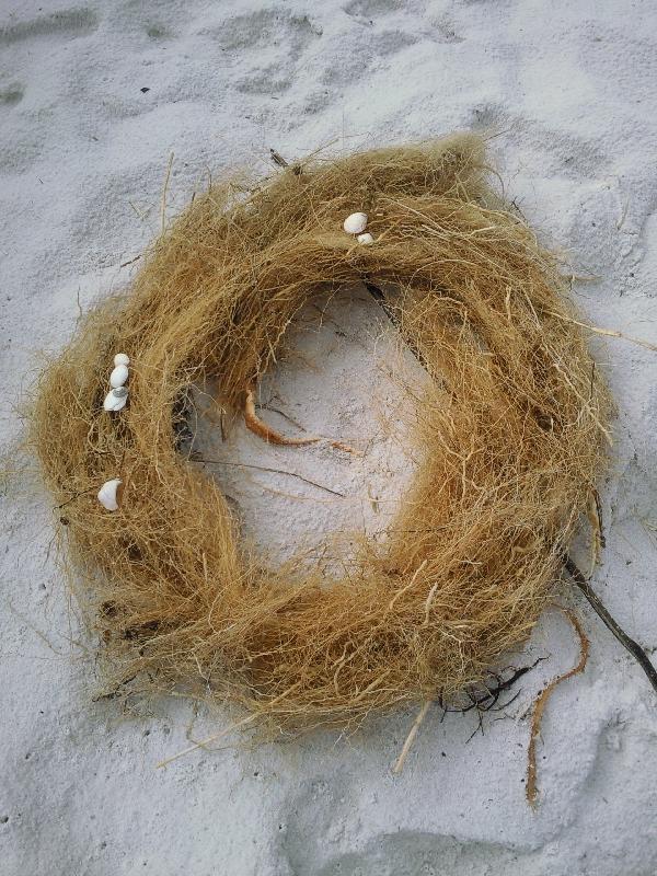 Birds nest at Binnalong Beach, Tasmania, Australia