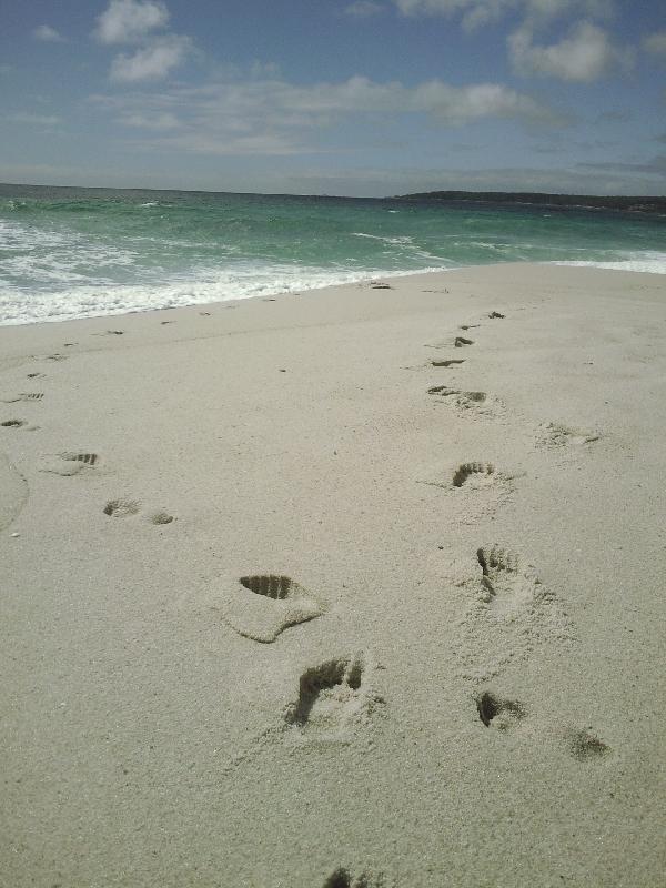 Foot prints at Swimcart beach, Australia