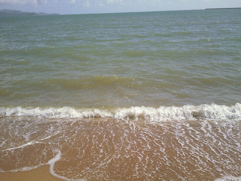 There was a turtle on the beach!, Townsville Australia