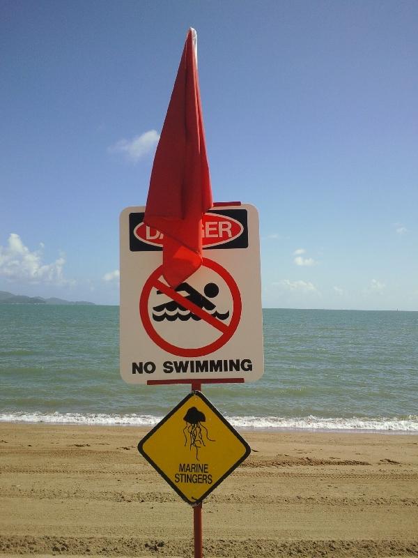 Stingers on Townsville beaches, Townsville Australia