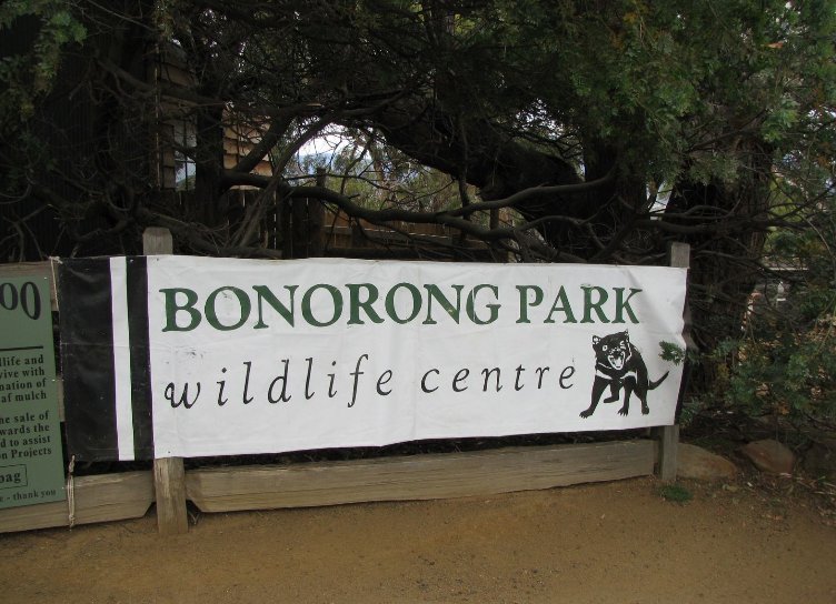 Bonorong Wildlife Conservation Park, Australia