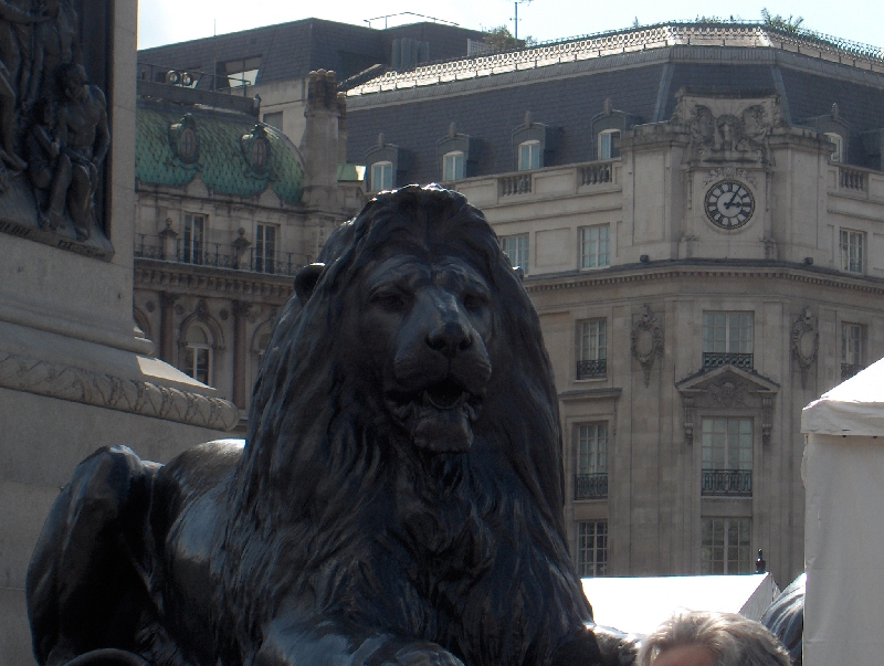 Static Lion on Trafalgar Square, London United Kingdom
