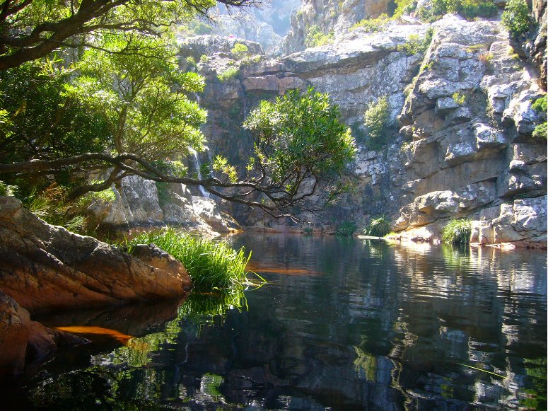 Crystal Pool in Kogelberg, SA, Cape Town South Africa