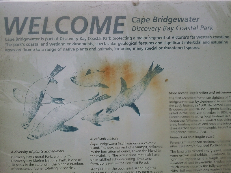 Discovery Bay Coastal Park, Cape Bridgewater Australia