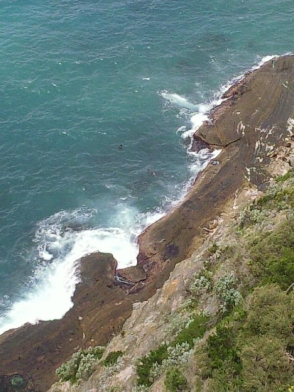 Amazing coastal cliffs in Cape Bridgewater, Australia