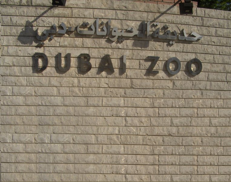 Dubai United Arab Emirates A visit to the Dubai Zoo