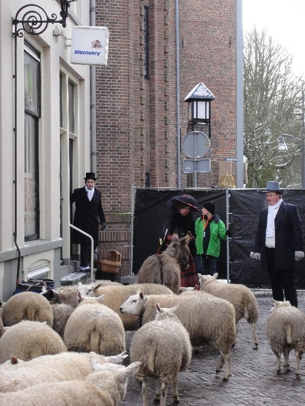 Real sheep at Charles Dickens in Deventer, Netherlands