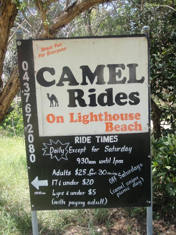 Camel Rides on Matthew Flinder Dr., Australia