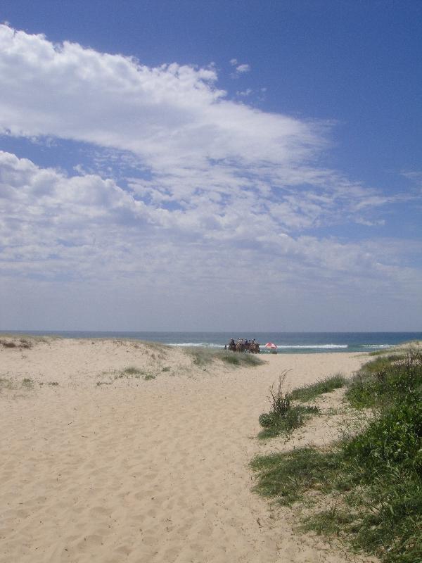 Beautiful Ozzi beach in Port Maquarie, Australia