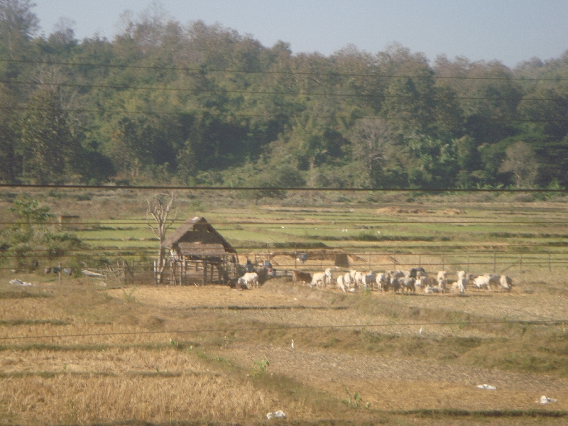 Photos of Rural Thailand, Thailand