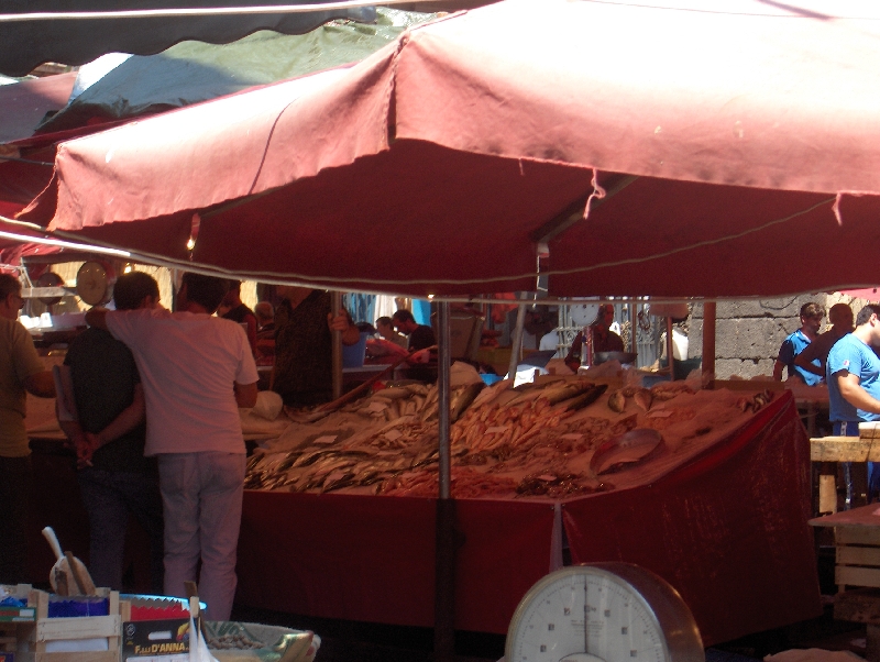 The fish market in Catania, Italy