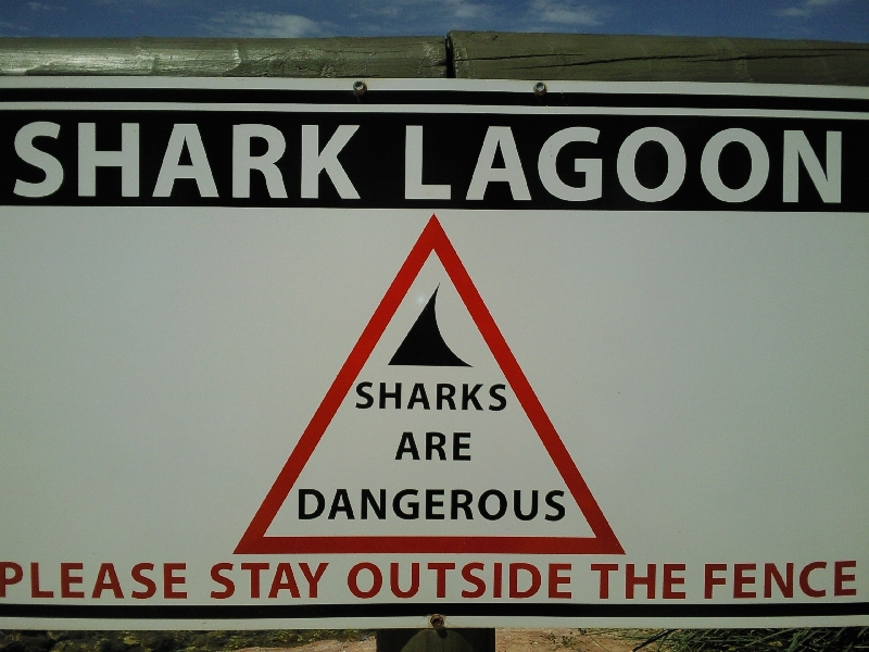Shark Lagoon, Australia