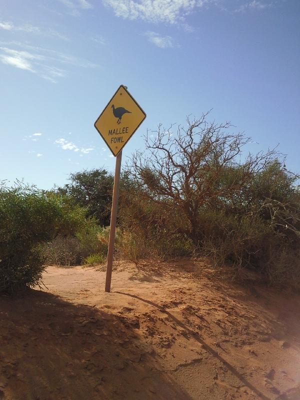 Cool Australian road signs, Denham Australia