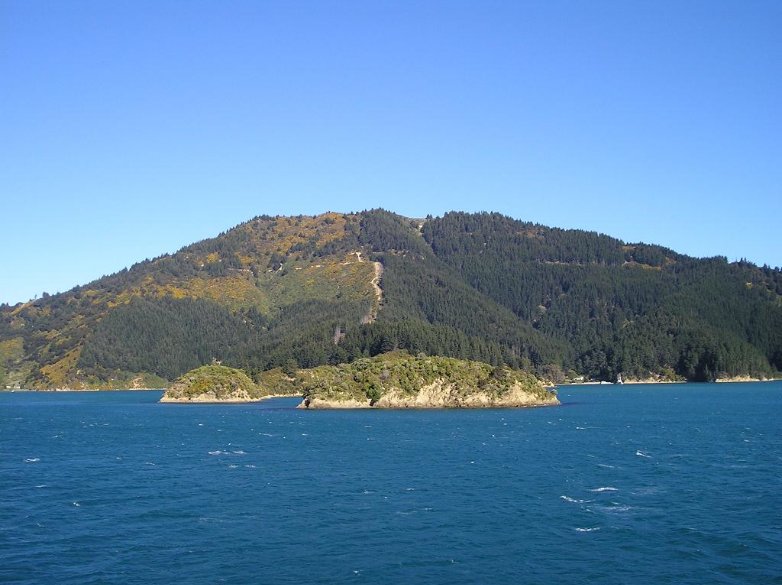 Cook Strait between North and South Island, New Zealand