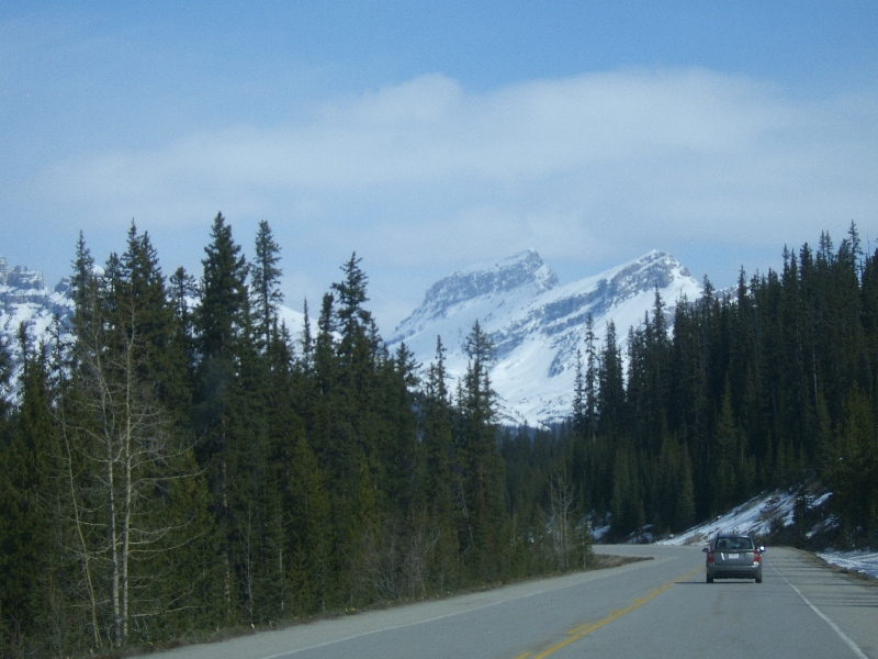 Picture of our daytrip, Calgary Canada