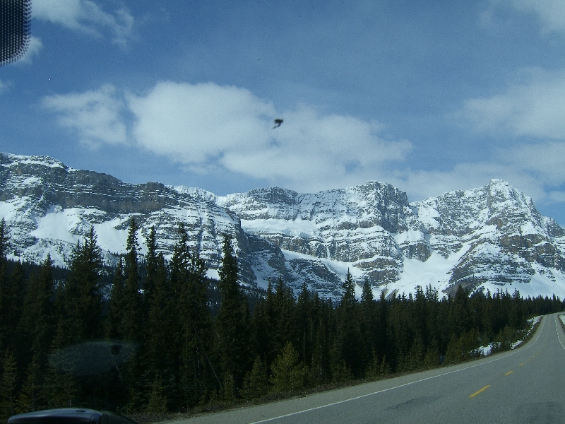 Pictures from our car, Calgary Canada