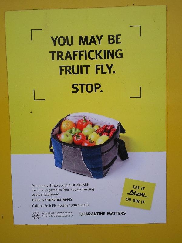 Dropping our fruit in South Australia, Australia