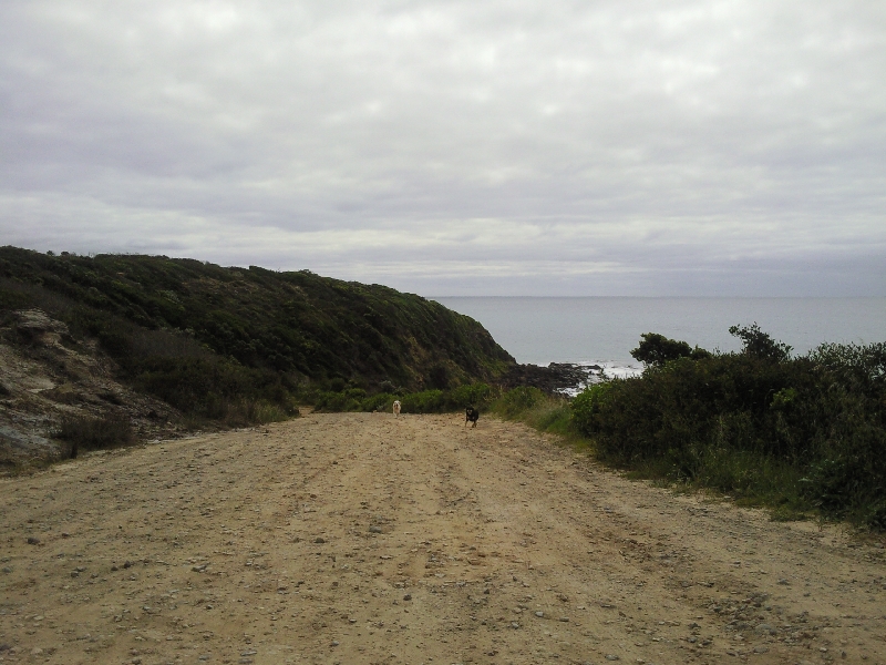 Driving up to Point Danger Portland Australia Oceania