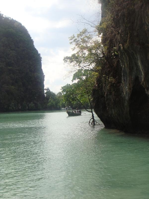 Mangrove Forest Ko Hong, Thailand