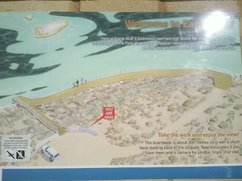 A Map of Shark Bay at Eagle Bluff, Australia