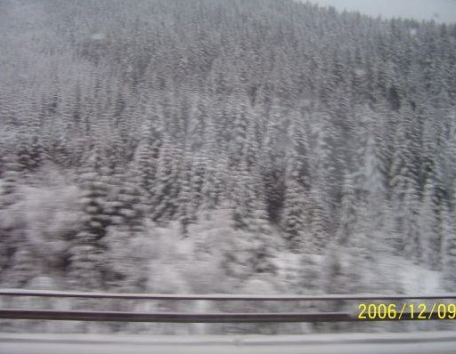 On the snowy road., Trento Italy