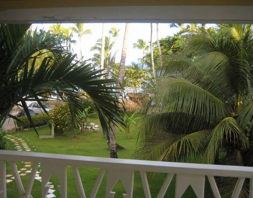 The view from my appartment in Las Terrenas., Dominican Republic