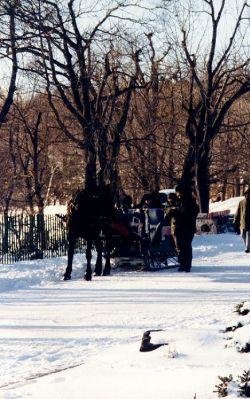 Horse-drawn carriage tours in Montreal, Canada., Canada