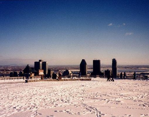 Skyline of Montreal in the snow., Canada