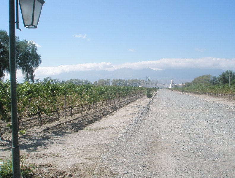 Photos of the Mendoza wine region in Argentina, Argentina