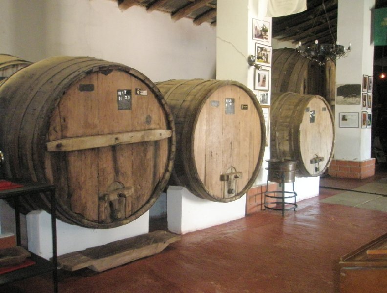 Pictures of a wine tasting in Mendoza, Argentina, Argentina