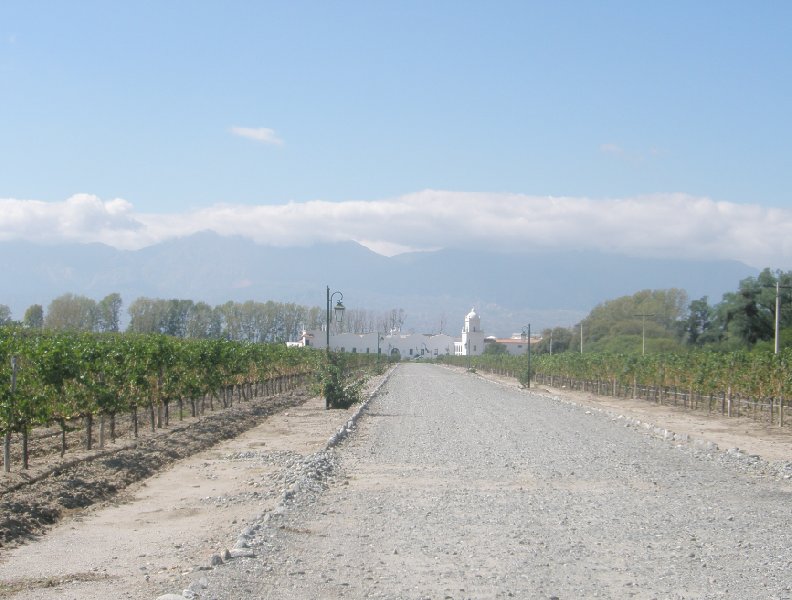 Cycling along Mendoza wine routes, Argentina, Argentina