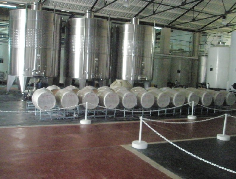 Tour to the Mendoza wineries, Argentina