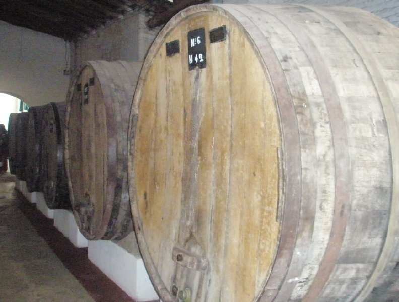 Wine cellars in Mendoza, Argentina, Argentina