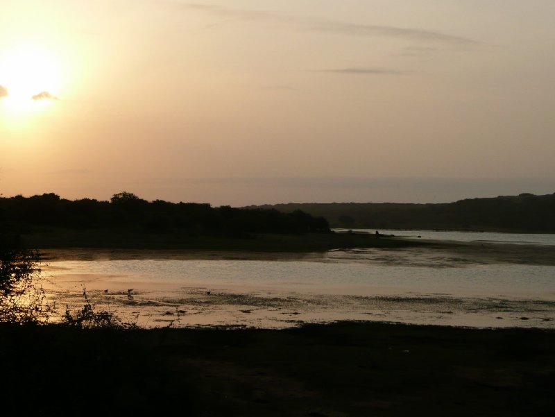 Sunset over Yala National Park, Sri Lanka, Sri Lanka