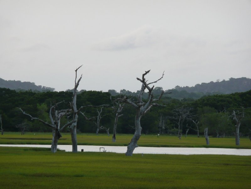 Photos of the Yala National Park, Sri Lanka, Sri Lanka