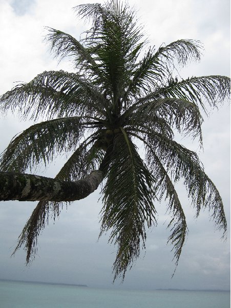 Photo Bocas del Toro on Isla Colon swirling