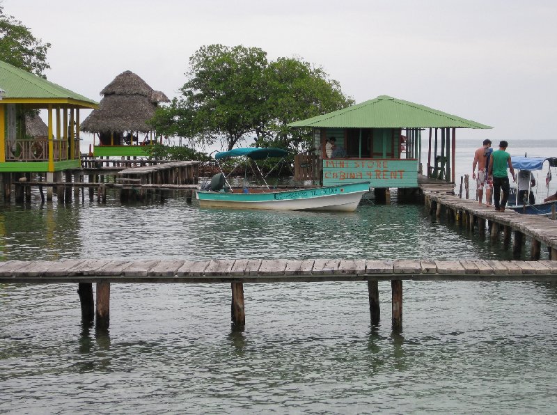 Photo Bocas del Toro on Isla Colon species