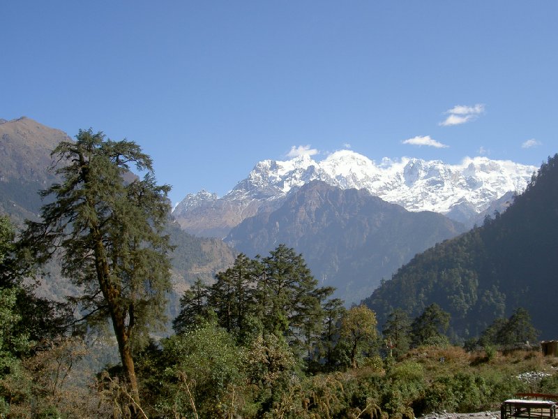 Annapurna base camp trek Nepal Trip Review