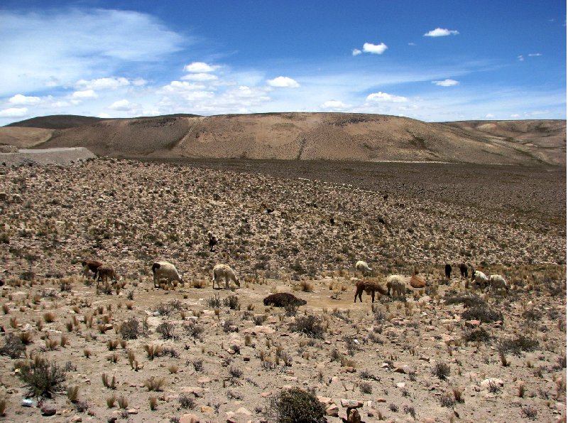 Photo From Arequipe to Chivay and Colca Canyon market