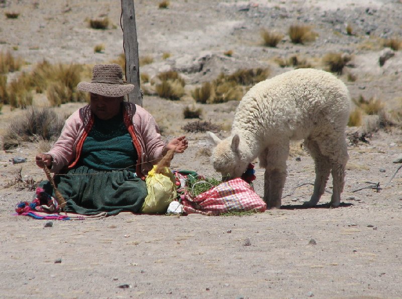 Photo From Arequipe to Chivay and Colca Canyon leaves