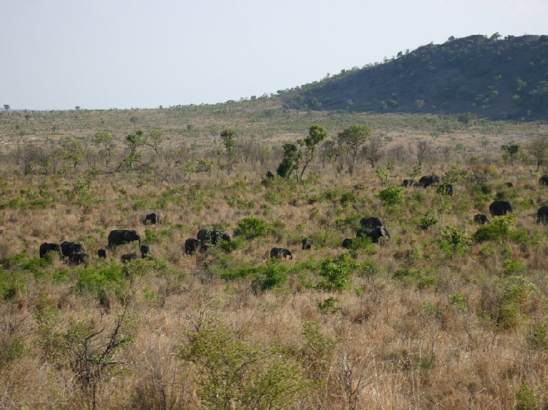 Kruger National Park Nelspruit South Africa Holiday Tips