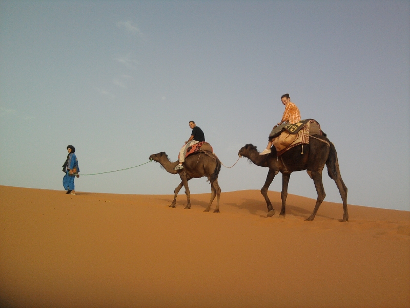 Camel Trek Merzouga dunes, Morocco