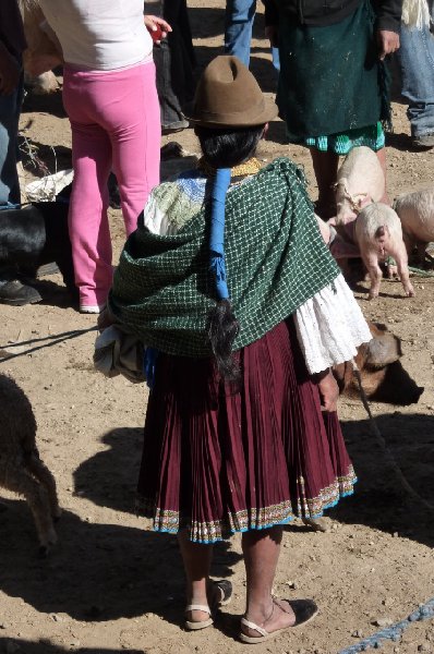Excursion to Otavalo market Ecuador Photographs