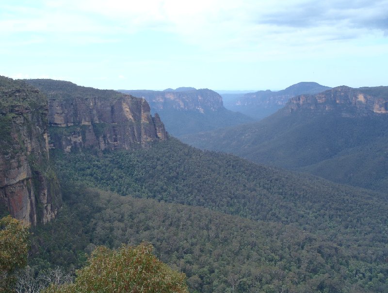 Photo Blue Mountains day tour coming