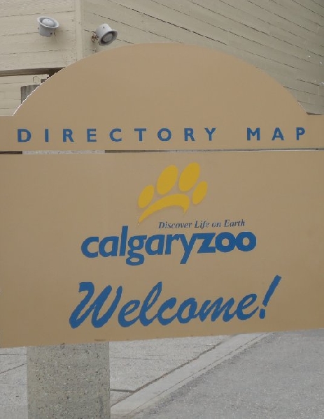 Holiday Trip to Calgary Zoo Canada Review Picture