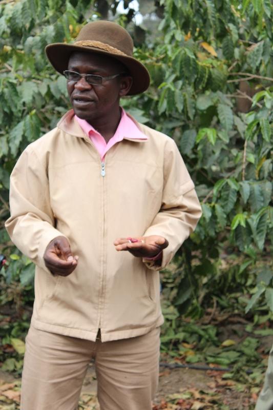 Coffee Plantation Tour guide Arusha, Tanzania