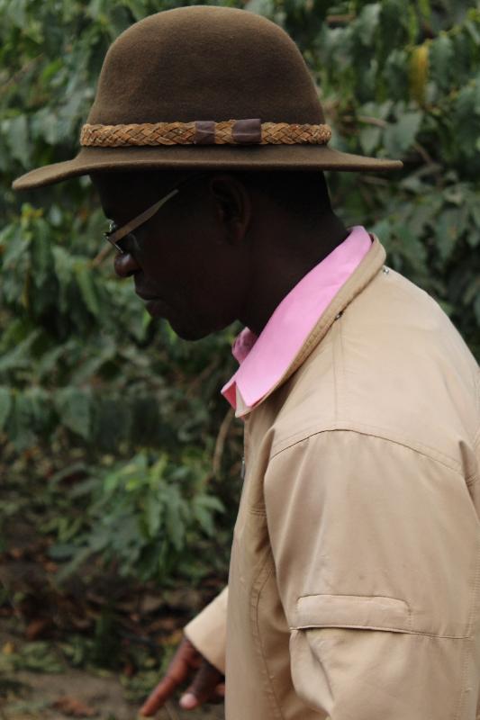 Guided Coffee Plantation Tour in Arusha Tanzania, Tanzania